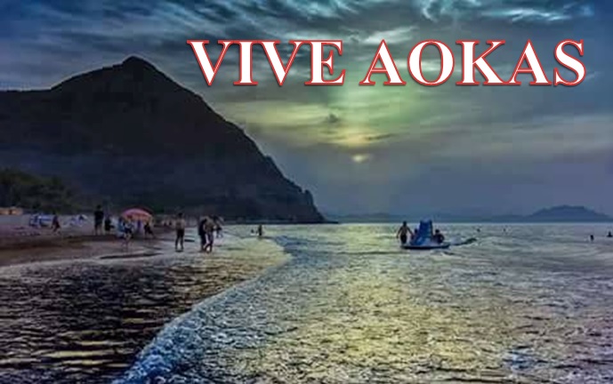 VIVE AOKAS  1310