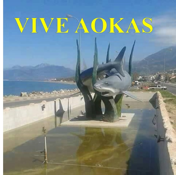 VIVE AOKAS  1410