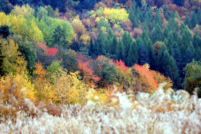 foto autunno inverno Colore10