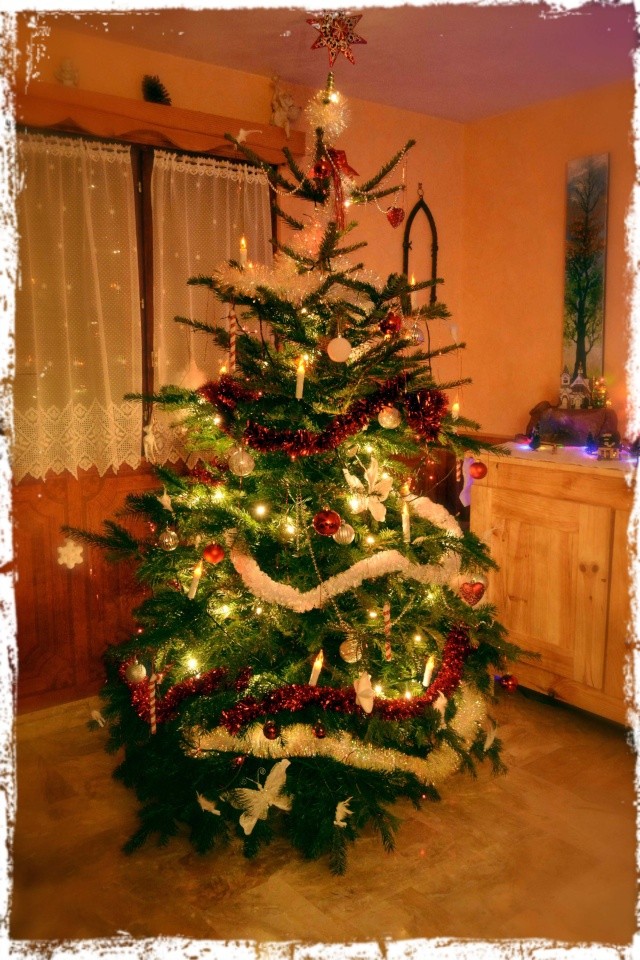 Photos de nos sapins et décorations de Noël Sapin_10