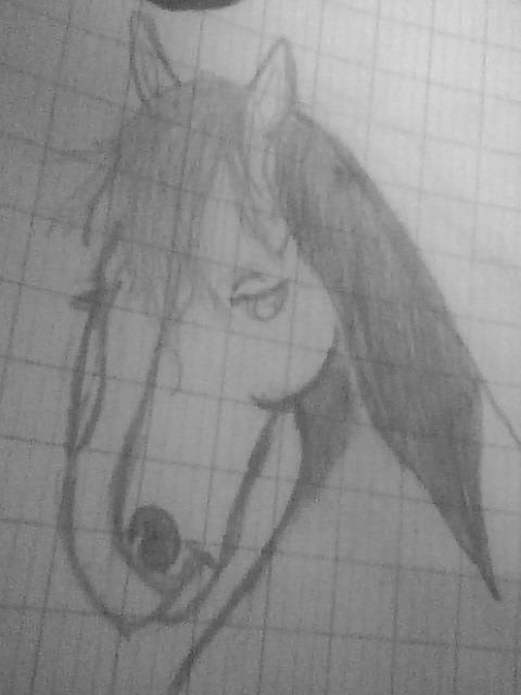 Drawing! :D 110