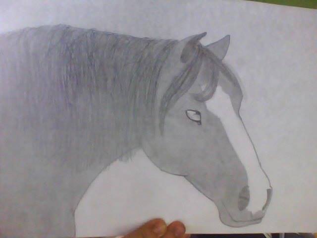 Drawing! :D 1210
