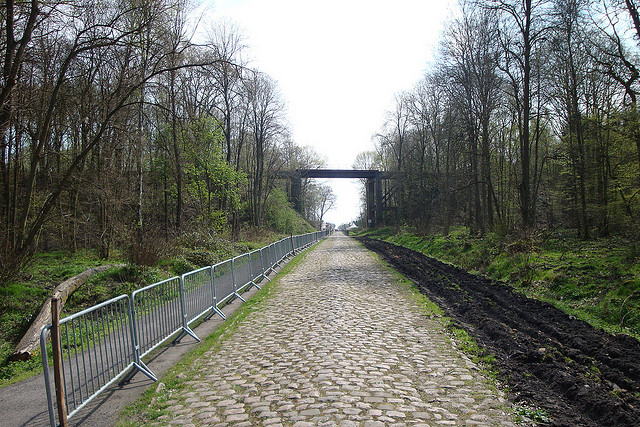 Paris-Roubaix (Parigi-Roubaix) 2014 (13 aprile 2014) 34416310