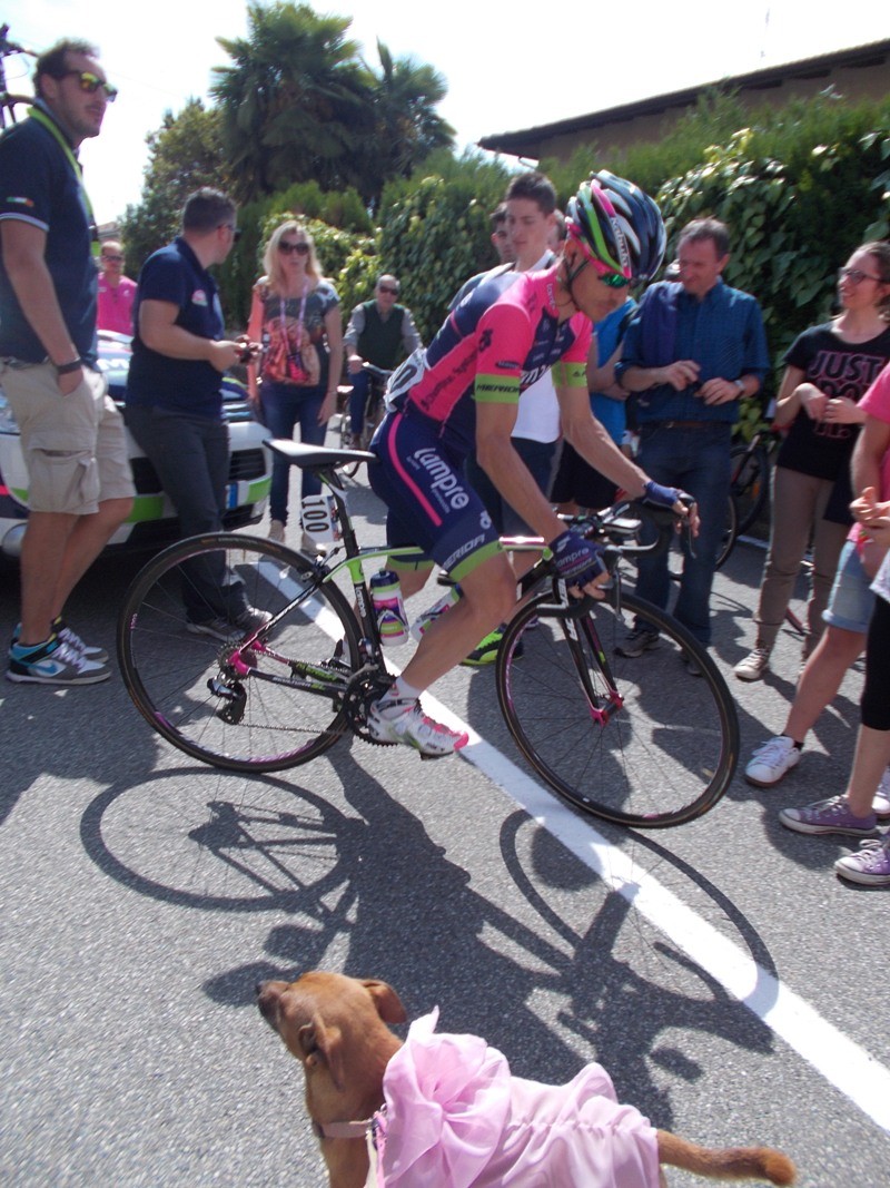 italia - Giro d'Italia 2014 - 15a tappa - Valdengo-Plan di Montecampione - 225,0 km (25 maggio 2014) Dscn0610