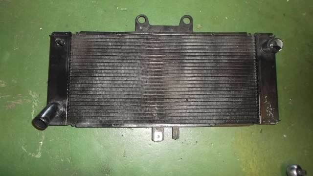 Aftermarket Radiator Dscf5412