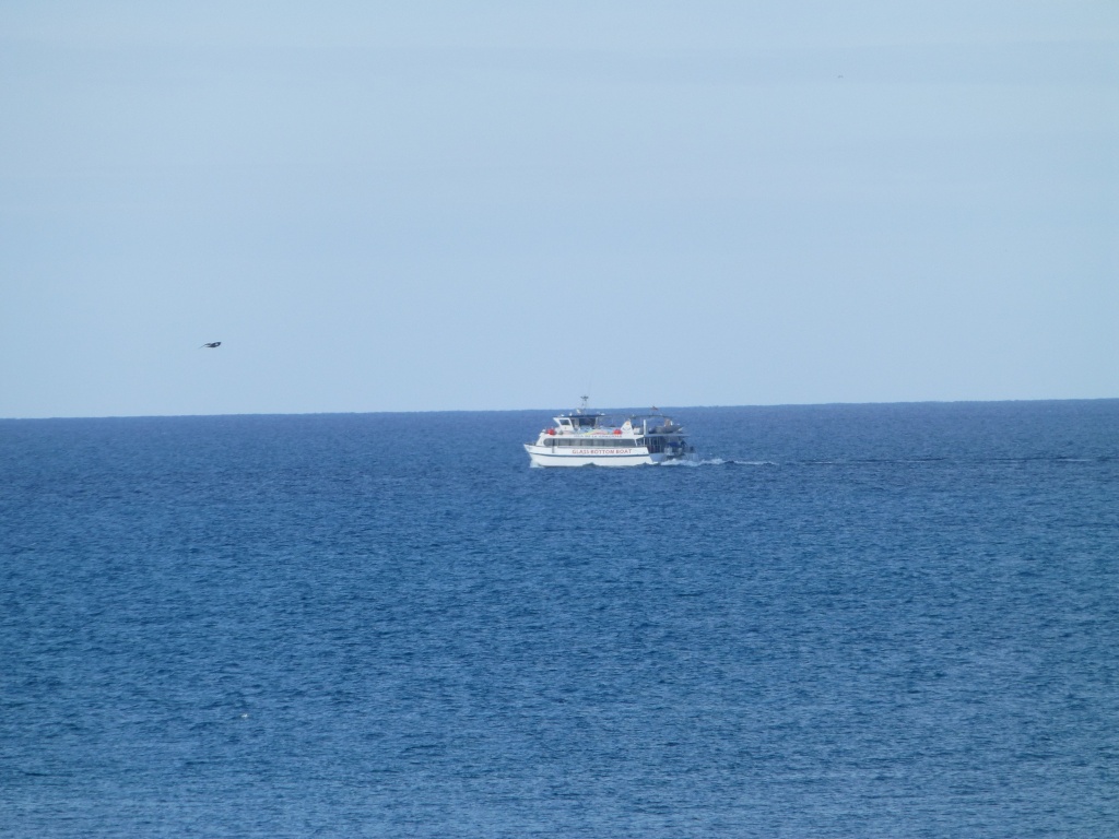 Canary Islands, Lanzarote, Playa Blanca, 2013 01210