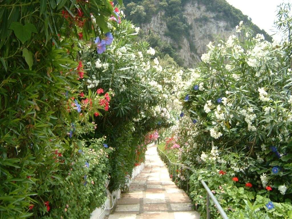 Greece, Island of Corfu, Agios Gordios, Corfu Town  Pictur23