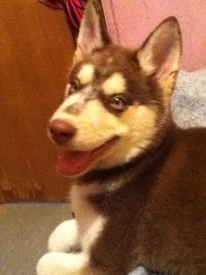 Nahla's Scrapbook! - Page 2 3010