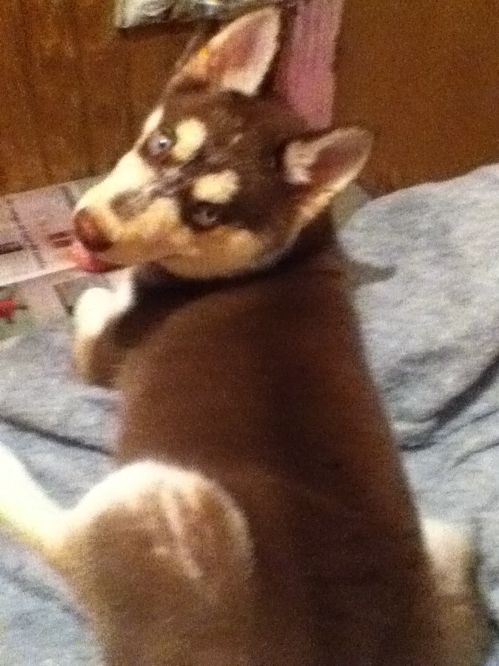 Nahla's Scrapbook! - Page 2 3110