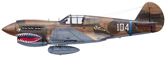 P40E  1/32 hasegawa 10_1910