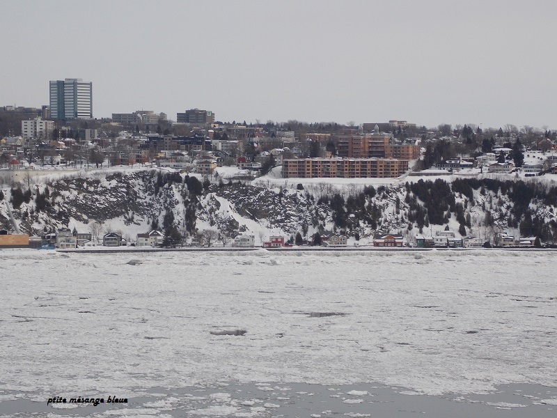 Photos du St Laurent partiellement gelé !  Dscn9615