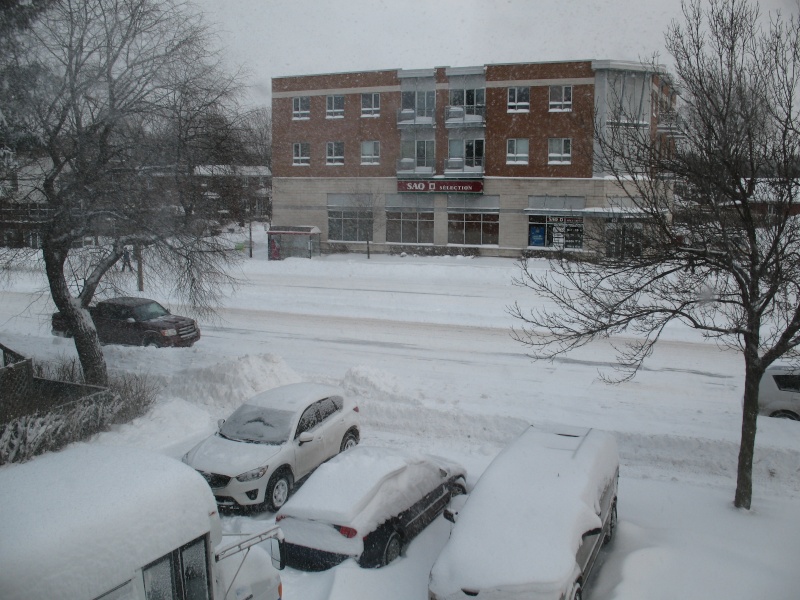 Montréal sous un peu de neige Img_0012