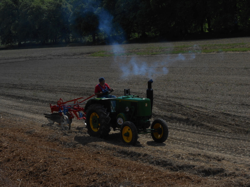 2013 et années suivantes - MALAUCENE (84) les Vierzon d'Eric et de ses amis Dscn7123