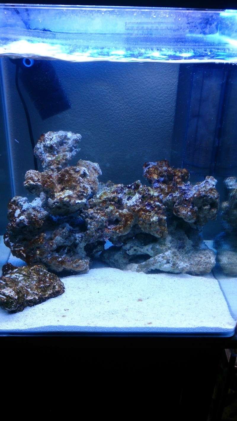 60l nano reef Dsc_2444