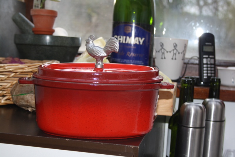 mon ou plutot ma nouvelle staub Img_6212