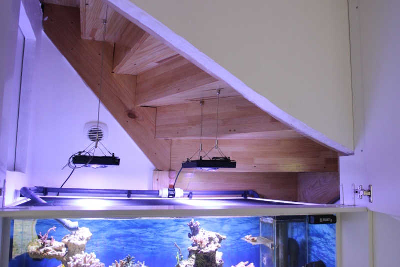 Le nouveau Reef d'Alexpilon, 600l custom Img_6014