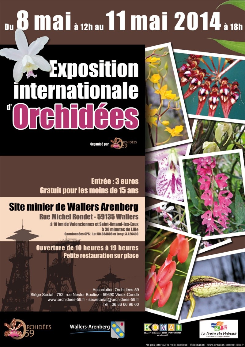 Exposition internationale d'orchidées à Wallers arenberg - 8 au 11 mai 2014 - Page 5 Orchid10