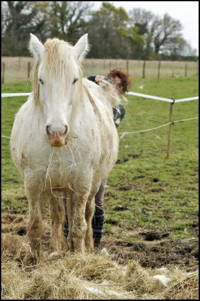 zorha et peachy Dsc04315