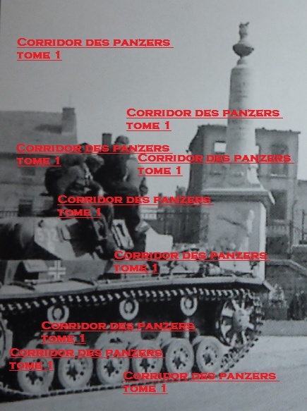 Numérotation tactique en 1940 des chars de la 1.Panzer-Division - Page 4 St_men11