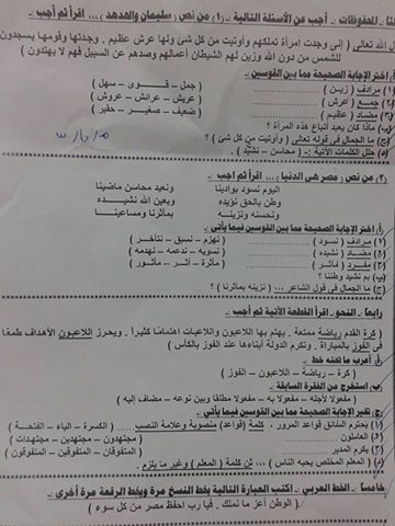 ورقة امتحان اللغة العربية للصف الخامس الابتدائي الترم الثاني 2017 محافظة الفيوم 197