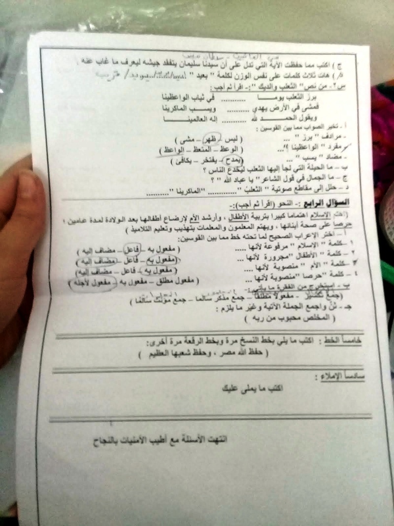 ورقة امتحان اللغة العربية للصف الخامس الابتدائي الترم الثاني 2017 محافظة الغربية 636