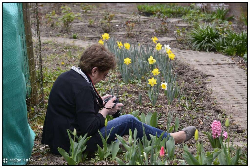 Atelier Fleurs du 04/04/14 _dsc2810