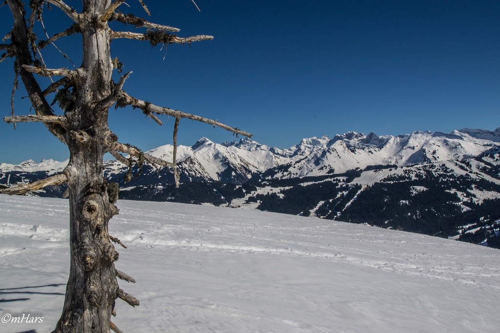 Montagne et beau temps. 2014-028