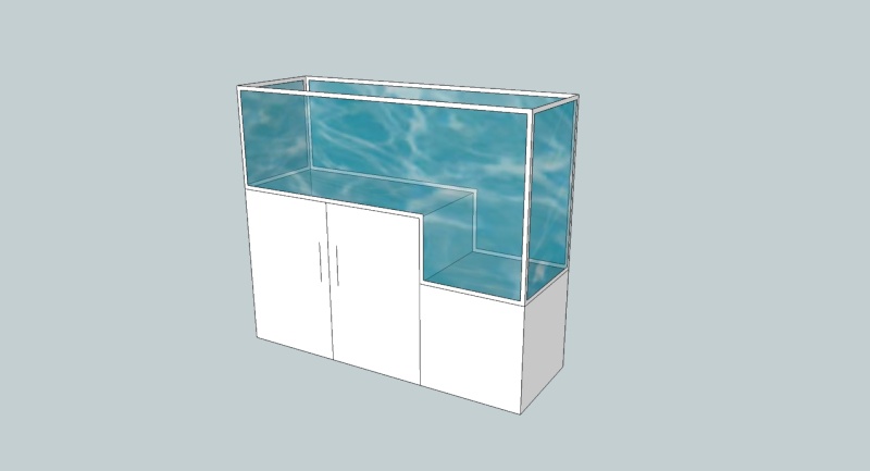 projet aquarium eau de mer help Aqua11