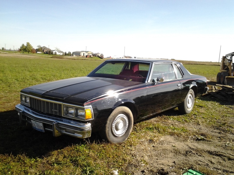 FOR SALE 1979 CAPRICE Img_2013