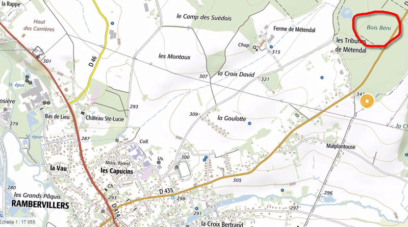 Rambervillers Vosges Bois_b10