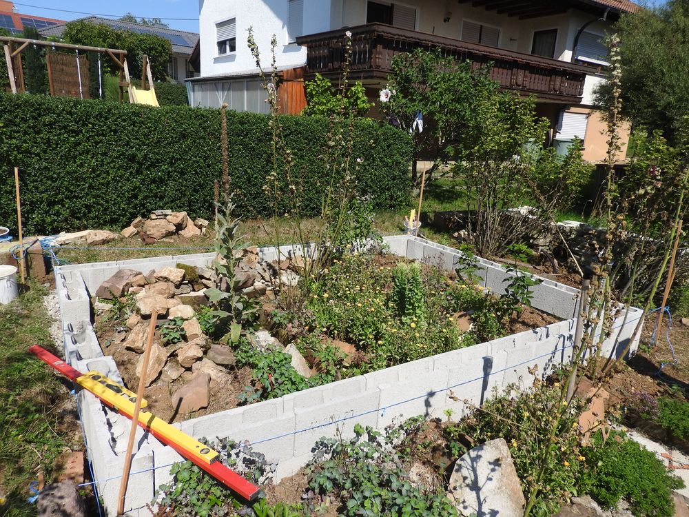 Das Jahr in meinem Garten - Seite 7 00210