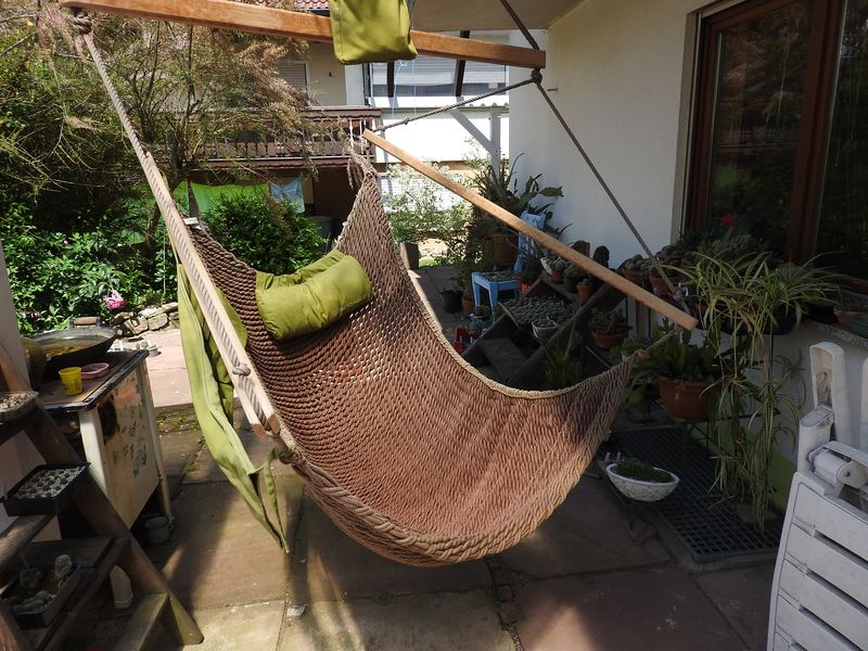 Das Jahr in meinem Garten - Seite 5 Dscn4712