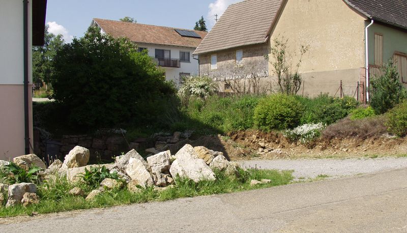 Das Jahr in meinem Garten - Seite 3 Garage10