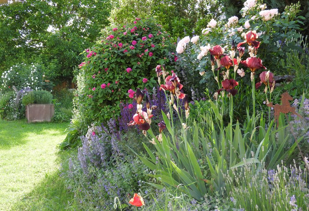 Das Jahr in meinem Garten - Seite 4 Garten24