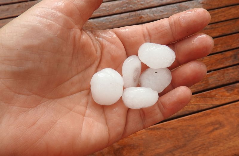 Das Jahr in meinem Garten - Seite 5 Hagel11
