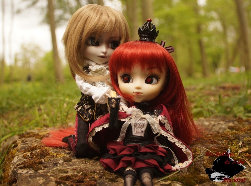 Les Dolls de BlackCat Dsc00725