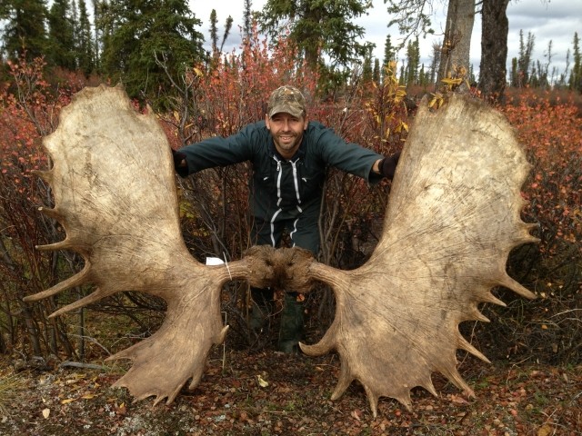 Yukon moose excellent dans l'assiette et ... Rrrrrr11