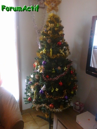 Concours : Le plus beau sapin - Page 3 Sapin110