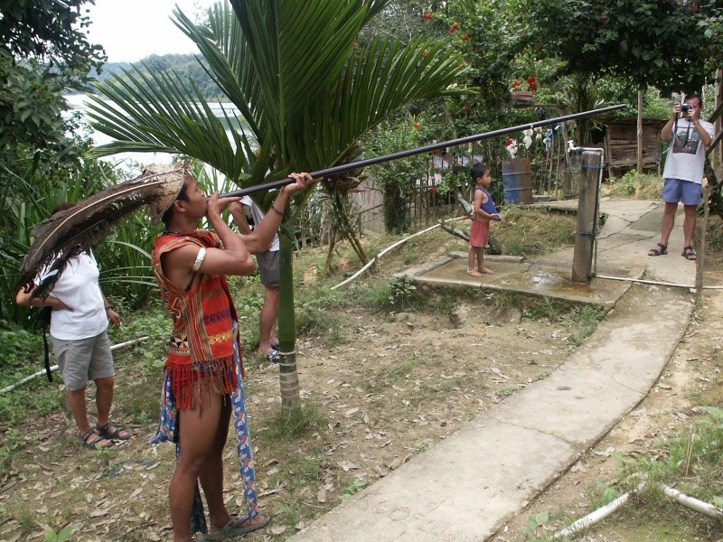 Les Dayaks - Bornéo Borneo20