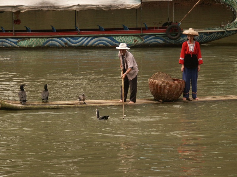 Le pêcheur aux cormorans - Chine Chine010