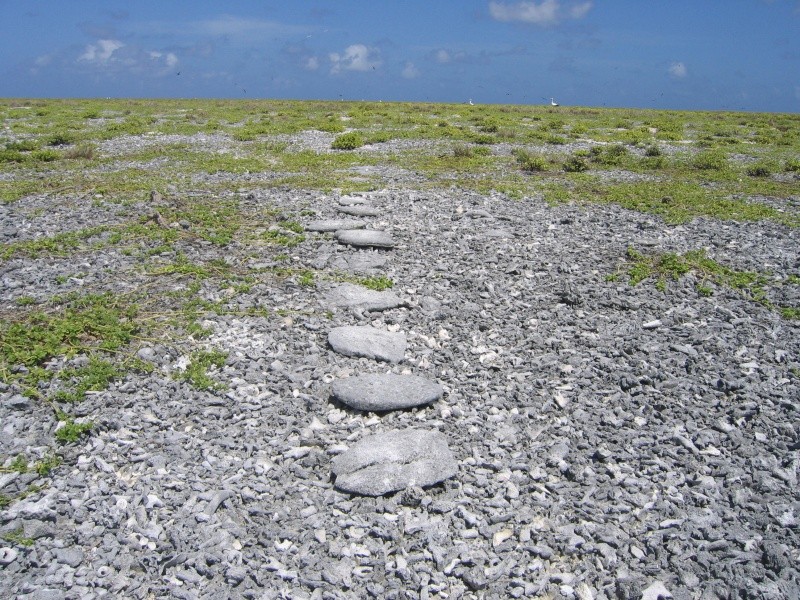 Amelia Earhart Earthwork - Atchison - USA Howlan11