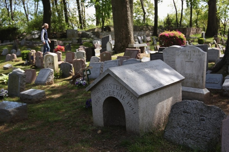 Hartsdale, cimetière pour animaux - New York - USA Pb-12010