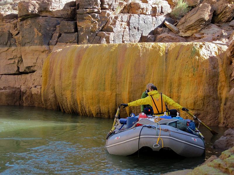 Pumpkin Spring – Grand Canyon - USA Pumpki15