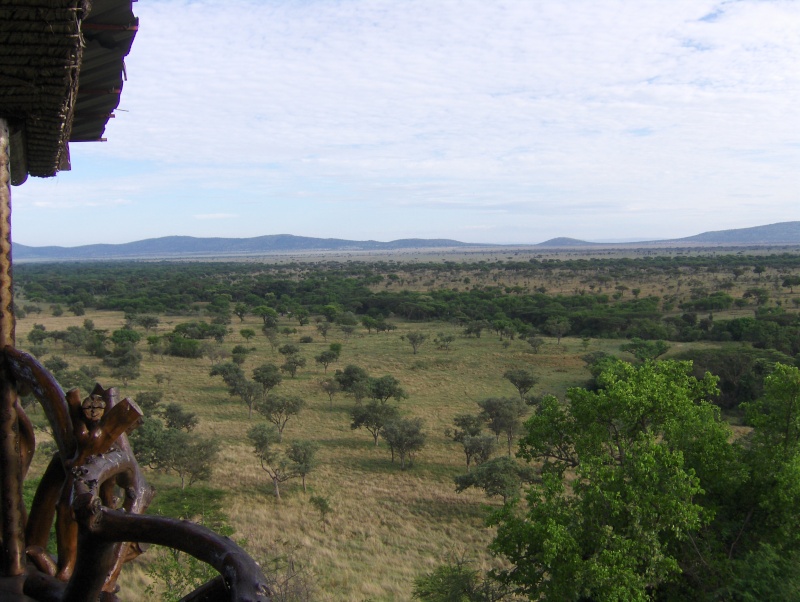 Campements de Safari - Tanzanie Tanzan11