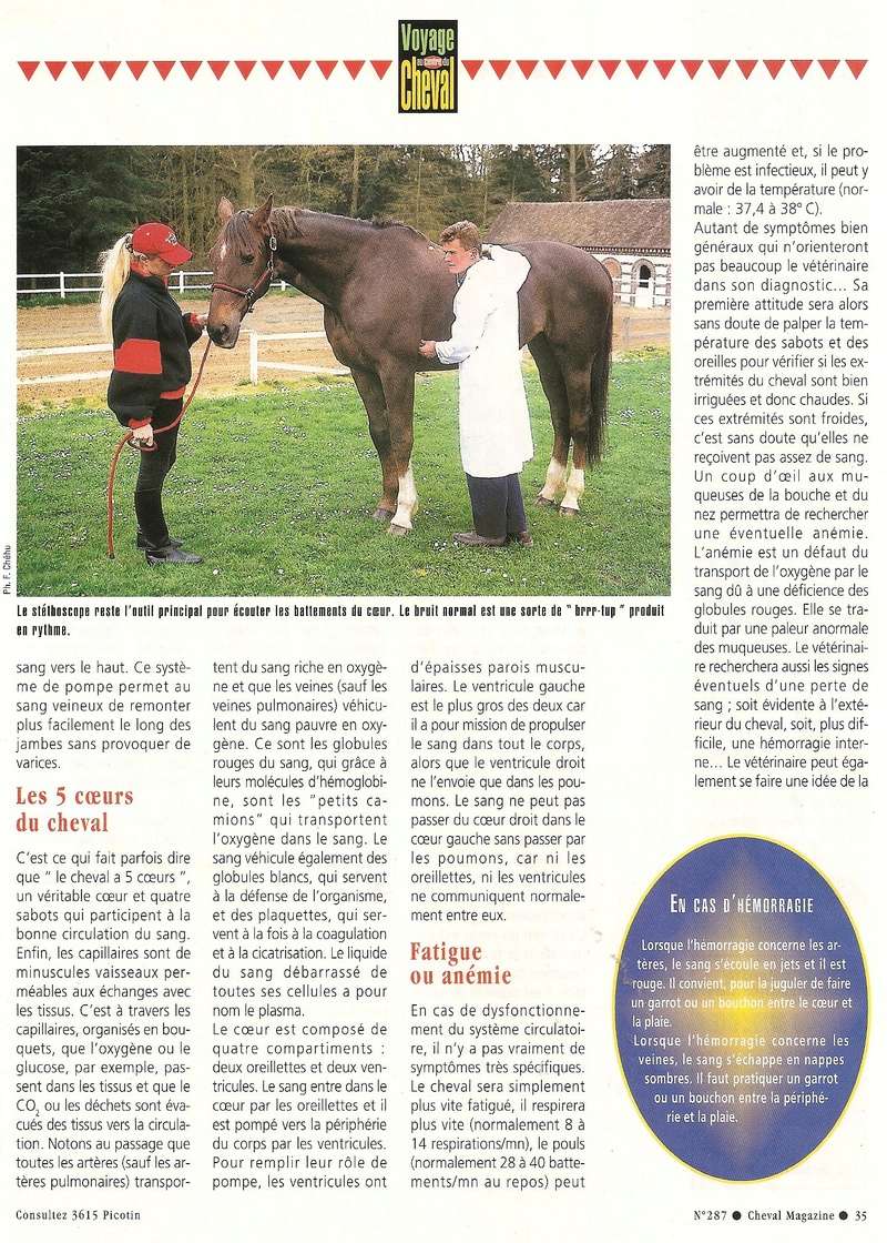 Cheval mag - les articles - Page 3 287-co14