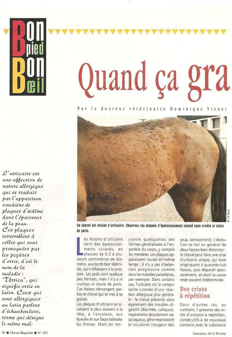 Cheval mag - les articles - Page 3 287-dy11