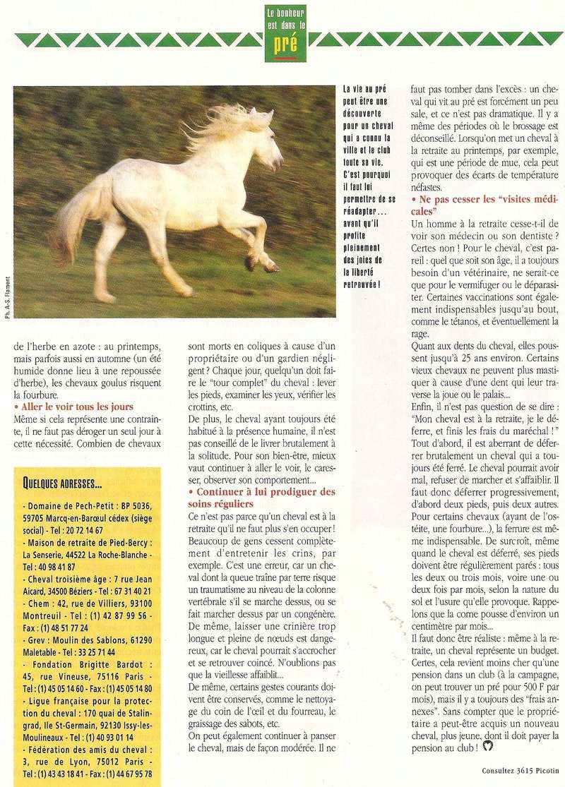 Cheval mag - les articles - Page 3 287-re10