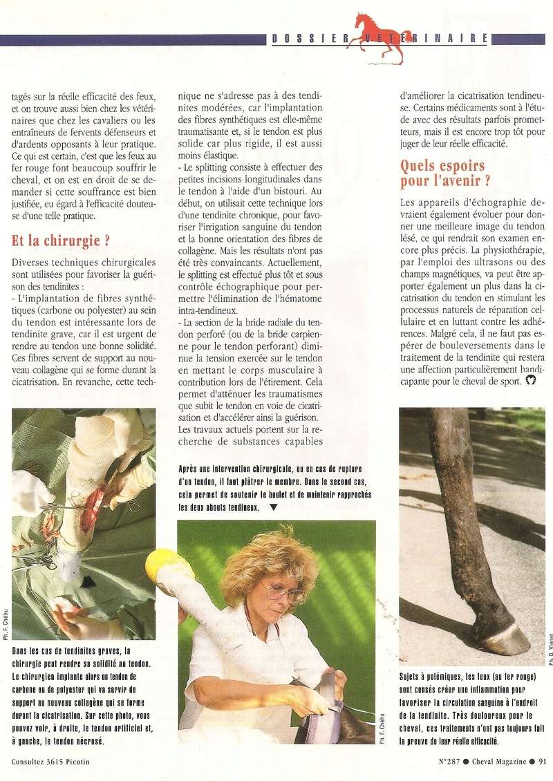 Cheval mag - les articles - Page 3 287-te13