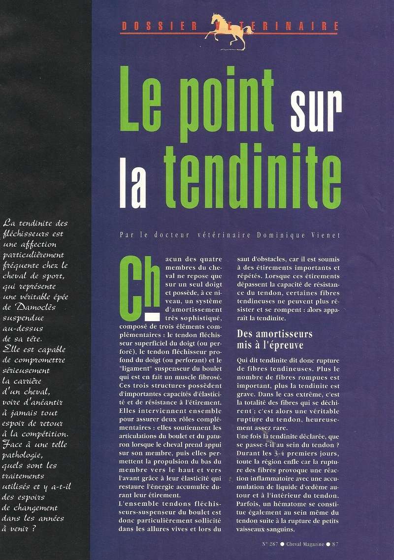 Cheval mag - les articles - Page 3 287-te14