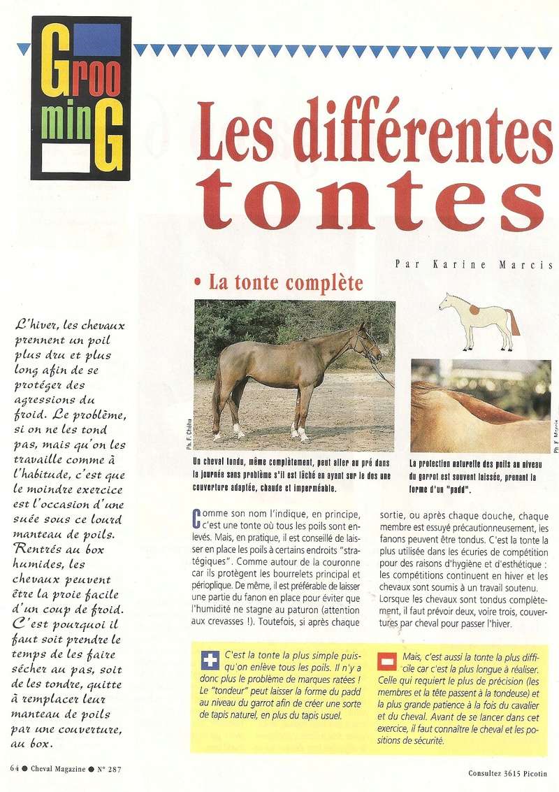 Cheval mag - les articles - Page 3 287-to10